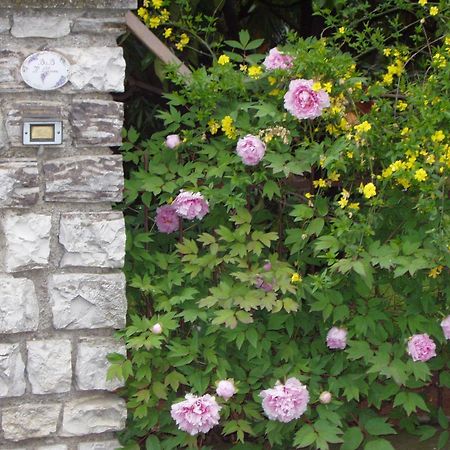 B&B Il Glicine Bedizzol Exterior foto
