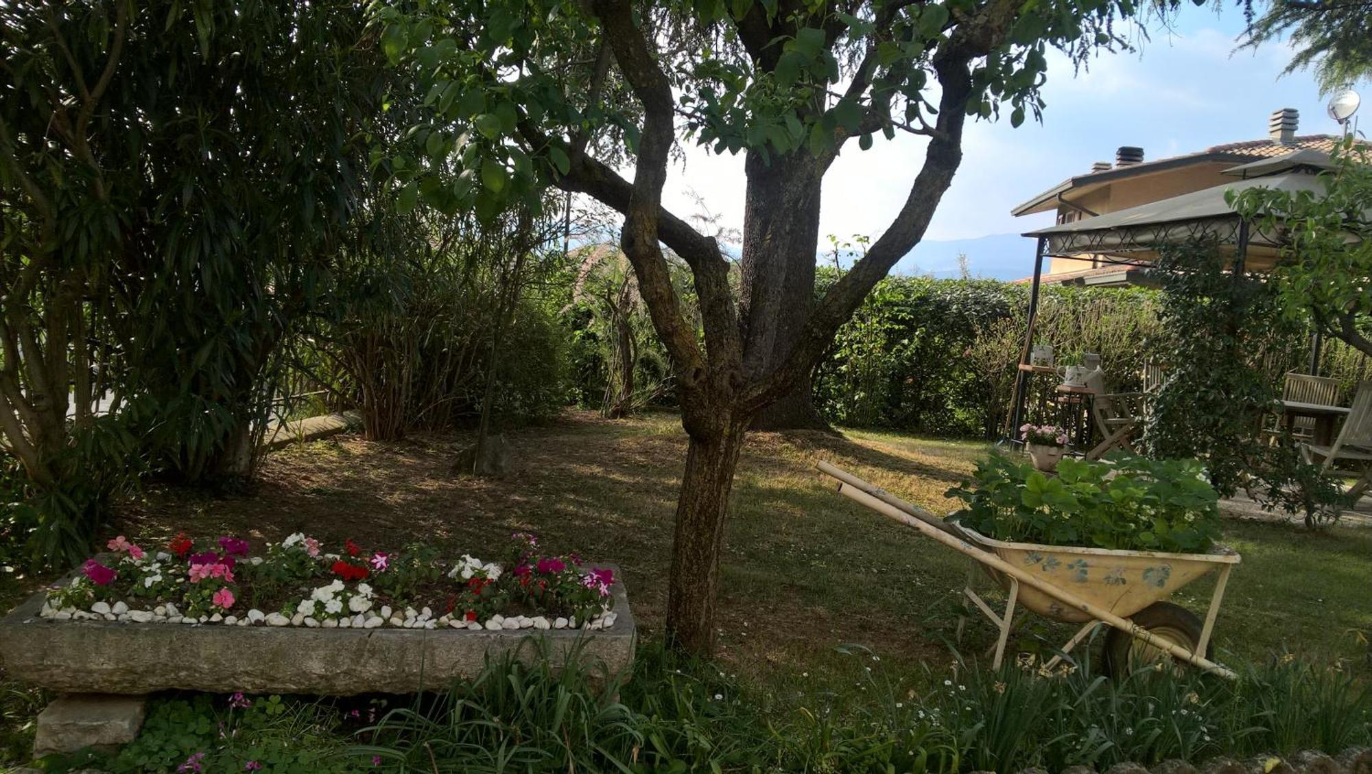 B&B Il Glicine Bedizzol Exterior foto