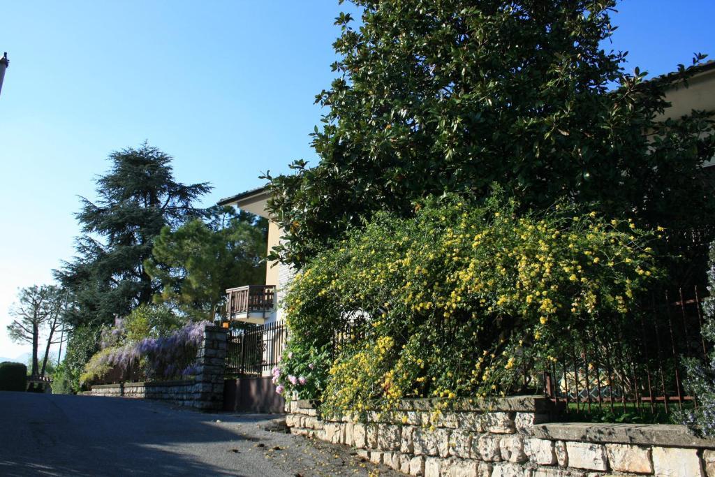 B&B Il Glicine Bedizzol Exterior foto